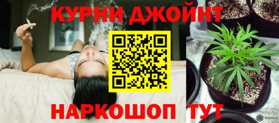 ПСИЛОЦИБИНОВЫЕ ГРИБЫ Новокубанск