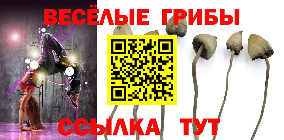 Галлюциногенные грибы Psilocybe  Вход с VPN  Тара 